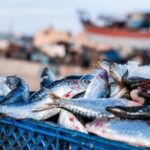 Des sardines fraîches sur un étal de marché, symbolisant le défi des prix pour le Ramadan 2026.