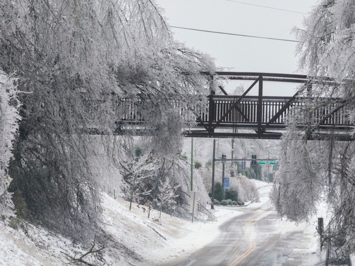 Vague de froid polaire à