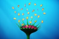 An illustration depicting a magnifying glass over a search bar, with AI-generated answers appearing directly, bypassing traditional website clicks, symbolizing the zero-click economy.