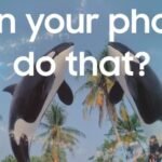 Unmasking the Unlabeled: Why TikTok and Tech Giants Struggle with AI Ad Transparency 8 A side-by-side comparison of a TikTok ad and a regular video, highlighting the absence of AI disclosure labels on Samsung content.