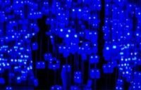 A ghostly figure emerging from a circuit board, symbolizing the elusive nature of AI consciousness.