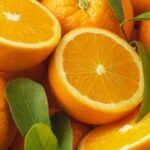 Alerte Rouge à Saint-Pétersbourg :