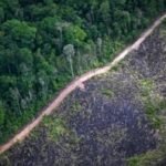 Nature's Reckoning: Bridging the Trillion-Dollar Biodiversity Funding Gap 2 Lush green forest with a flowing river, symbolizing natural capital and vital ecosystem services.