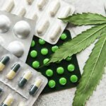 Signature du protocole d'accord entre l'AMMPS et l'ANRAC, symbolisant l'avancement de la filière du cannabis licite au Maroc.