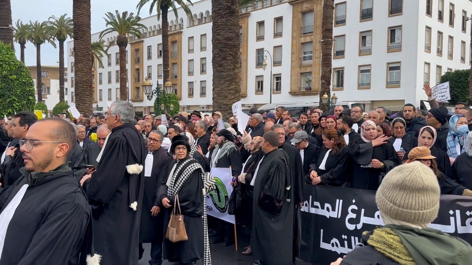 استقلالية المحاماة