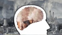 التلوث والصحة النفسية