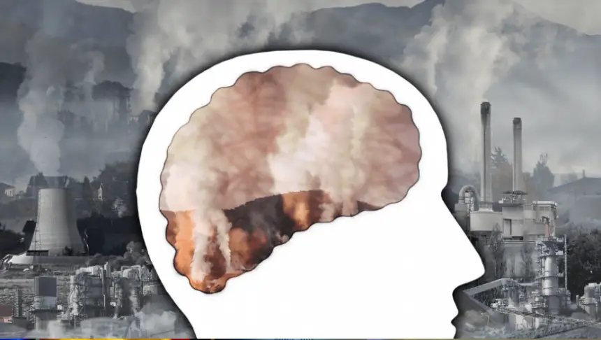 التلوث والصحة النفسية