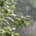 خريطة الطقس في المغرب تظهر مناطق الأمطار والرياح والثلوج المتوقعة ليوم الأربعاء.