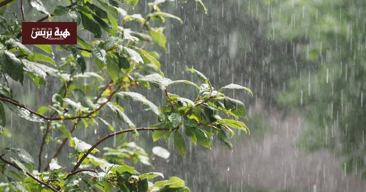 خريطة الطقس في المغرب تظهر مناطق الأمطار والرياح والثلوج المتوقعة ليوم الأربعاء.