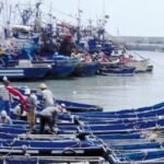 ميناء الوطية بطانطان يستقبل كميات وافرة من السردين: انتعاش وتساؤلات حول استدامة المصايد 6 مراكب صيد في ميناء الوطية بطانطان محملة بالسردين