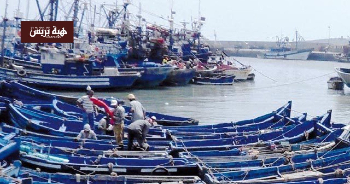 ميناء الوطية بطانطان يستقبل كميات وافرة من السردين: انتعاش وتساؤلات حول استدامة المصايد 3 مراكب صيد في ميناء الوطية بطانطان محملة بالسردين