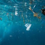 Un dauphin nageant dans un océan pollué, avec des débris électroniques flottant à la surface, symbolisant l'impact des écrans sur la vie marine.