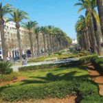 Vue aérienne d'un boulevard verdoyant à Fès, avec de nouveaux arbres et arbustes, symbolisant le projet d'aménagement paysager urbain.