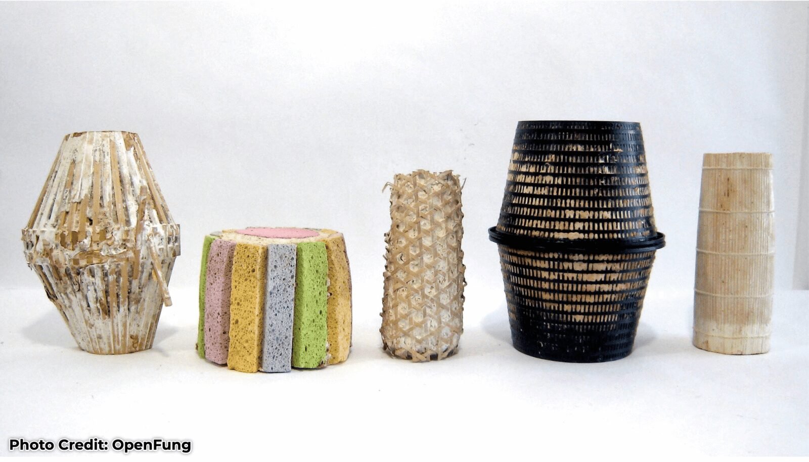 Rachel Linzer and Rolando Perez of OpenFung presenting fungal materials at Maker Faire Bay Area