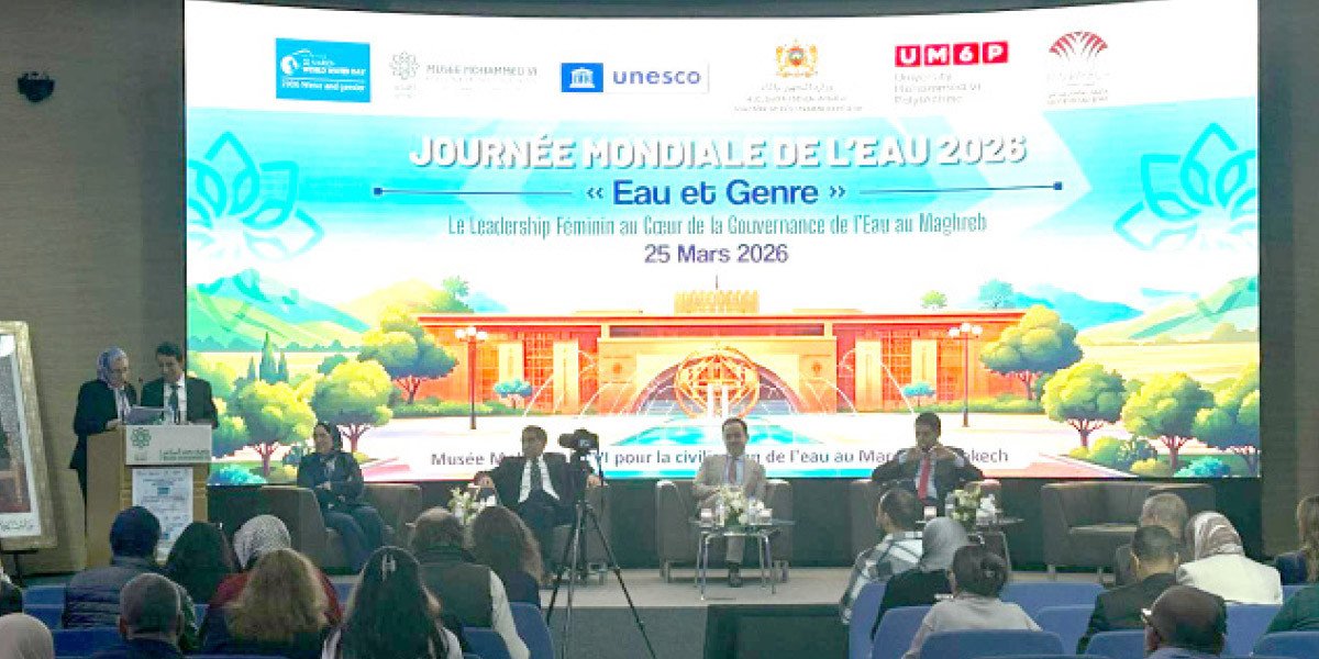 Femme puisant de l'eau dans un puits, symbolisant le rôle central des femmes dans la gestion de l'eau et leur absence des sphères décisionnelles.