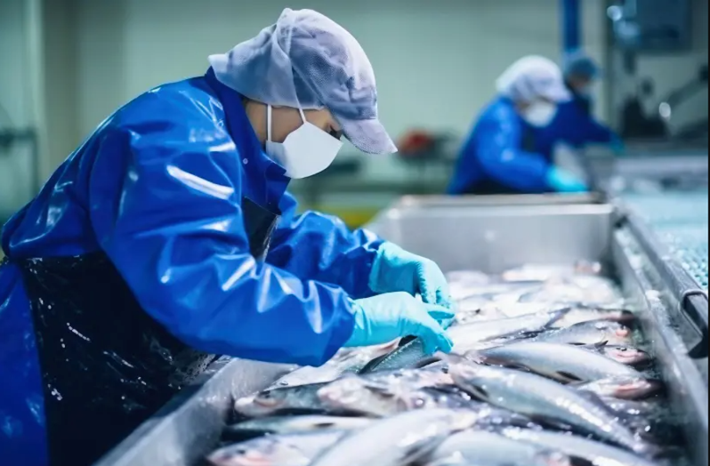 Vue aérienne de l'unité de production Living Fish dans la zone industrielle de Nouaceur, Maroc, avec des installations modernes et des camions de transport.