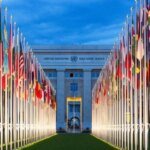 L'ONU interpellée : Une ONG