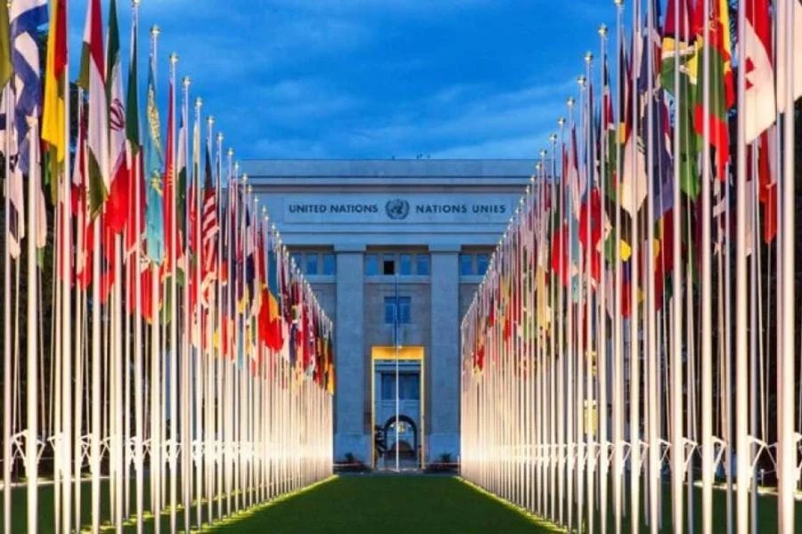 L'ONU interpellée : Une ONG