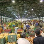 Marché de gros : l’État sonne la «mobilisation totale» 8 Vue aérienne d'un marché de gros moderne au Maroc, symbolisant la réforme et la modernisation du secteur agricole et commercial.