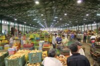 Vue aérienne d'un marché de gros moderne au Maroc, symbolisant la réforme et la modernisation du secteur agricole et commercial.