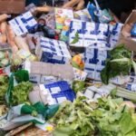 Maroc : L'Alarmant Bilan du Gaspillage Alimentaire et les Solutions Proposées par le CESE 4 Maroc : L'Alarmant Bilan du