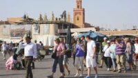 Marrakech : L'Ocre Éternelle Brille
