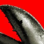 People in China lining up to install OpenClaw AI software, symbolizing the AI craze