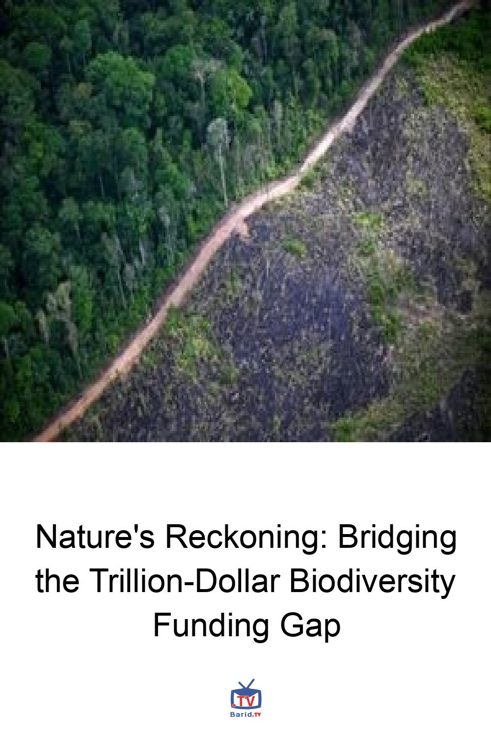 Nature's Reckoning: Bridging the Trillion-Dollar Biodiversity Funding Gap 4 Pinterest Hidden