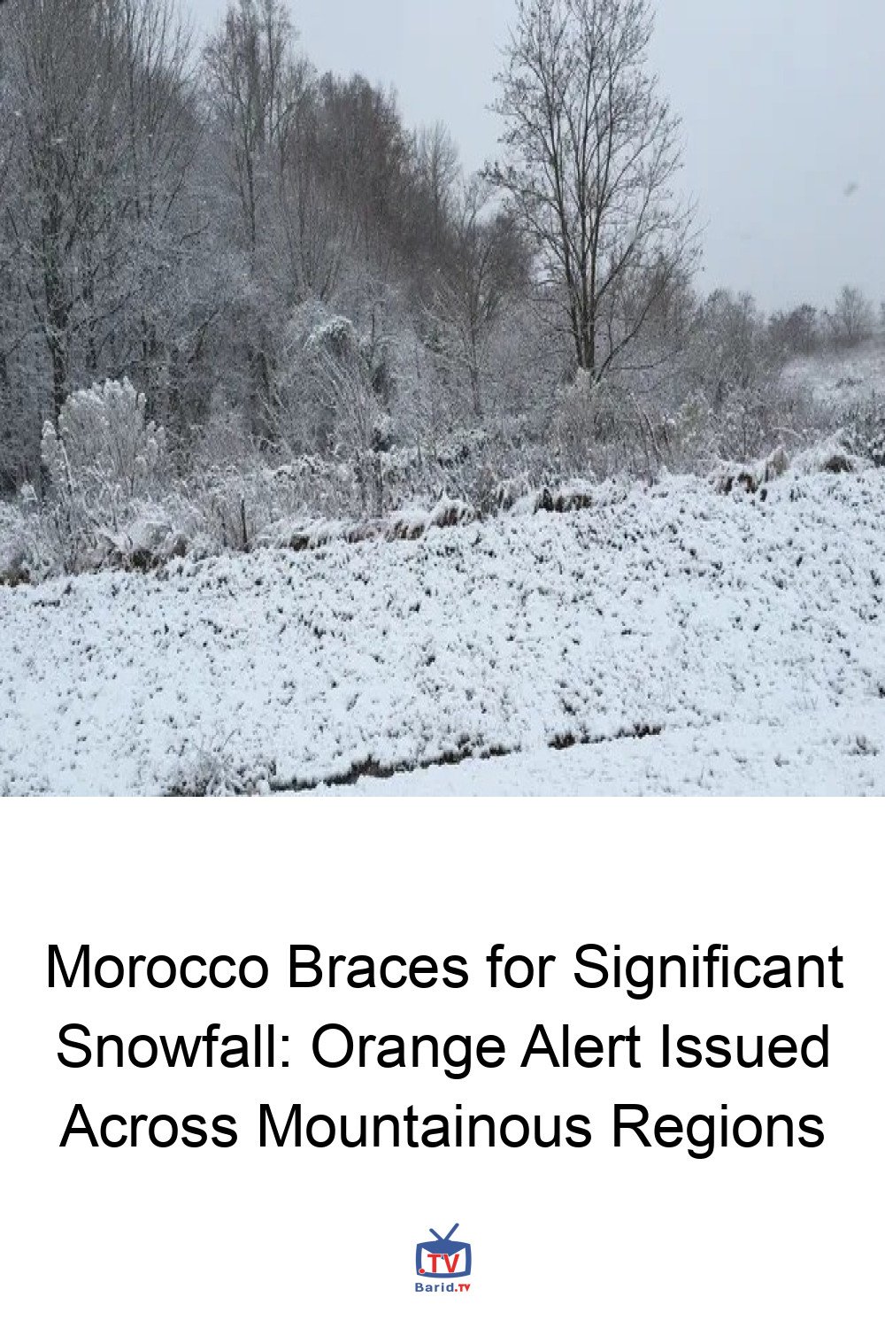 Morocco Braces for Significant Snowfall: Orange Alert Issued Across Mountainous Regions 4 Pinterest Hidden