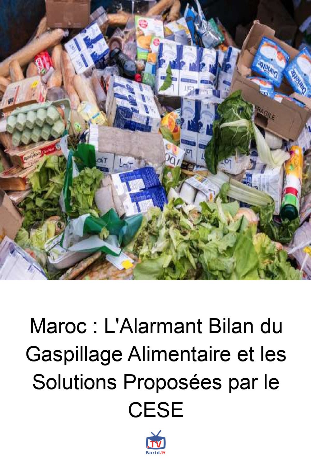 Maroc : L'Alarmant Bilan du Gaspillage Alimentaire et les Solutions Proposées par le CESE 4 Pinterest Hidden