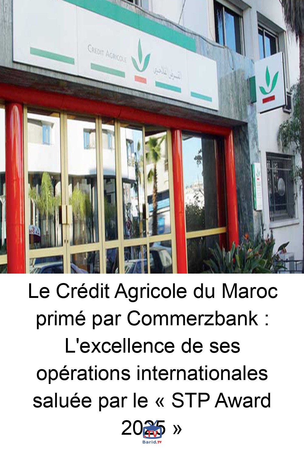 Le Crédit Agricole du Maroc primé par Commerzbank : L'excellence de ses opérations internationales saluée par le « STP Award 2025 » 4 Pinterest Hidden