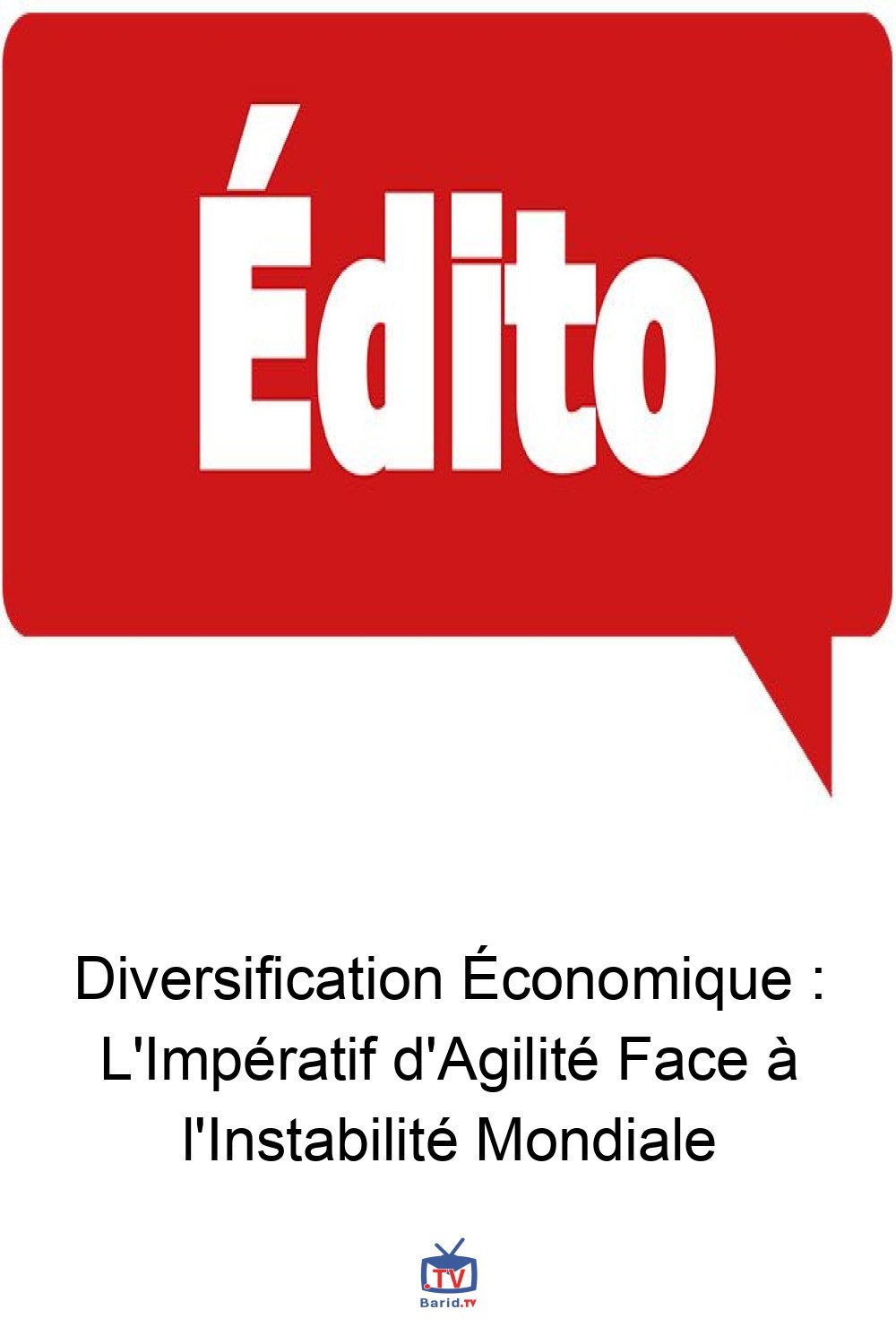 Diversification Économique : L'Impératif d'Agilité Face à l'Instabilité Mondiale 4 Pinterest Hidden