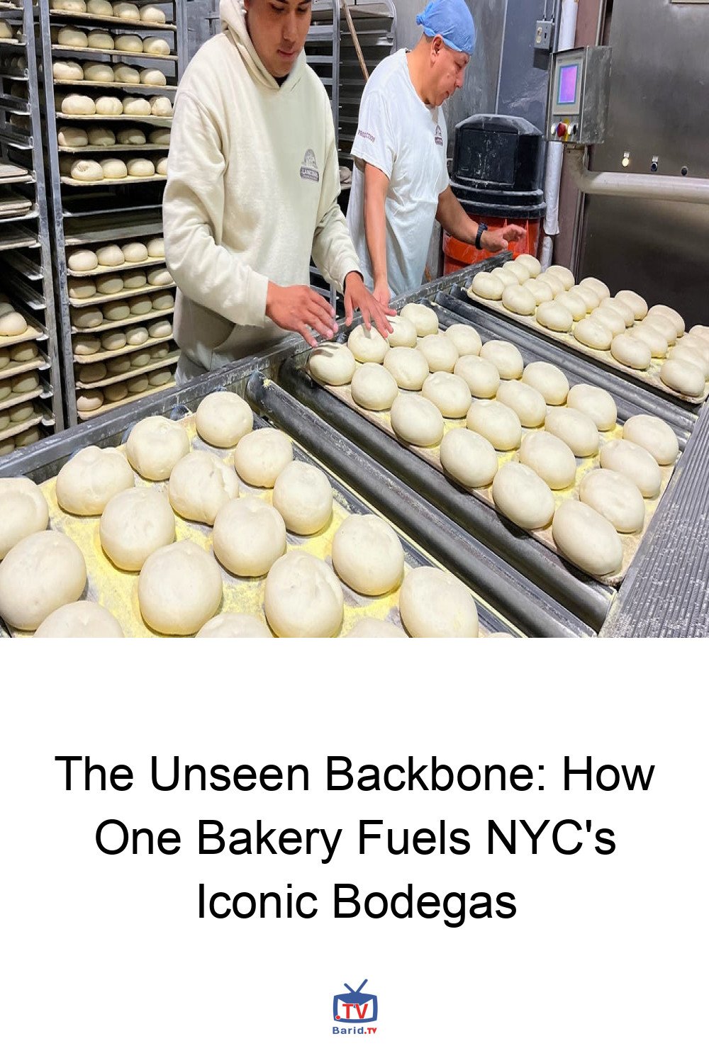 The Unseen Backbone: How One Bakery Fuels NYC's Iconic Bodegas 4 Pinterest Hidden
