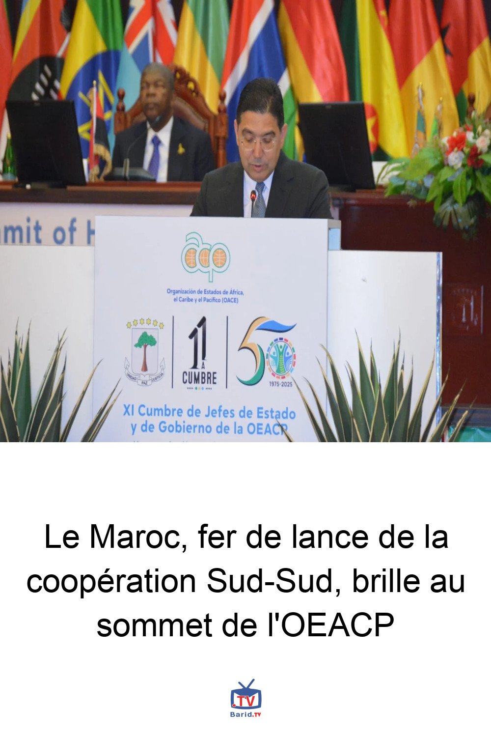 Le Maroc, fer de lance de la coopération Sud-Sud, brille au sommet de l'OEACP 4 Pinterest Hidden