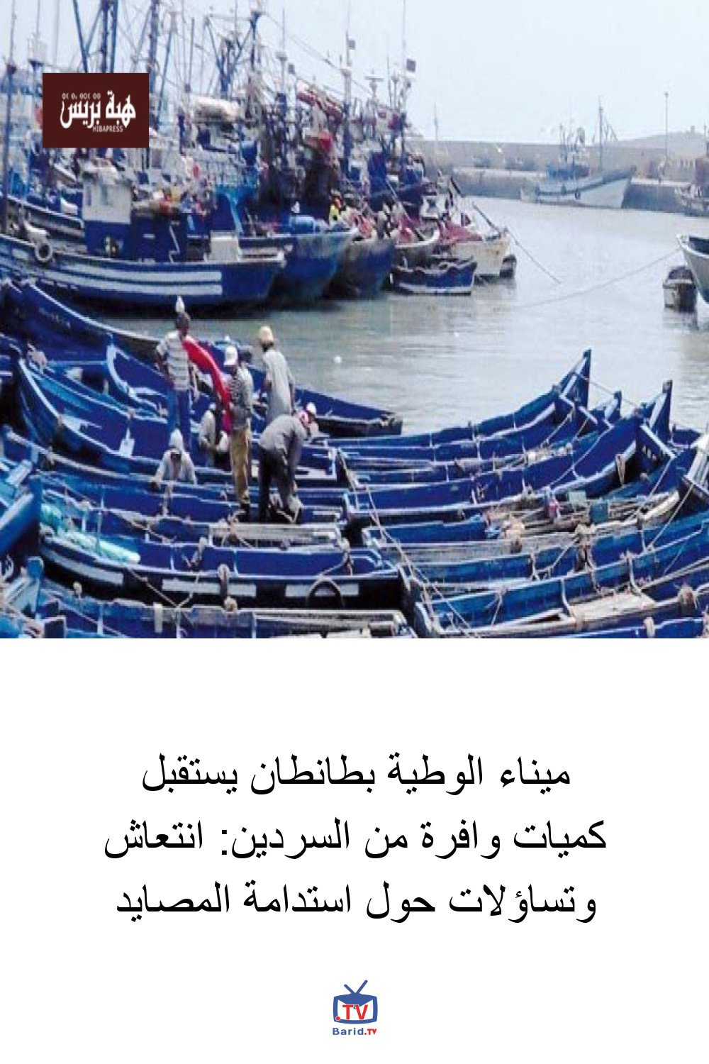 ميناء الوطية بطانطان يستقبل كميات وافرة من السردين: انتعاش وتساؤلات حول استدامة المصايد 4 Pinterest Hidden