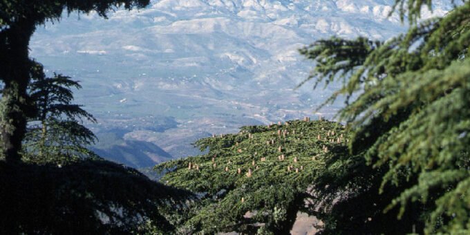 Paysage verdoyant de l'arrière-pays de Fès-Meknès avec des montagnes et des forêts, symbolisant le potentiel touristique.