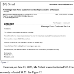 amazon $309 million settlement returns