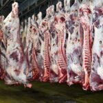 Vue d'ensemble des étals colorés et variés d'un marché de gros à Casablanca, avec des fruits et légumes frais ainsi que des viandes rouges exposées, illustrant la diversité et les dynamiques des prix.