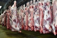 Vue d'ensemble des étals colorés et variés d'un marché de gros à Casablanca, avec des fruits et légumes frais ainsi que des viandes rouges exposées, illustrant la diversité et les dynamiques des prix.