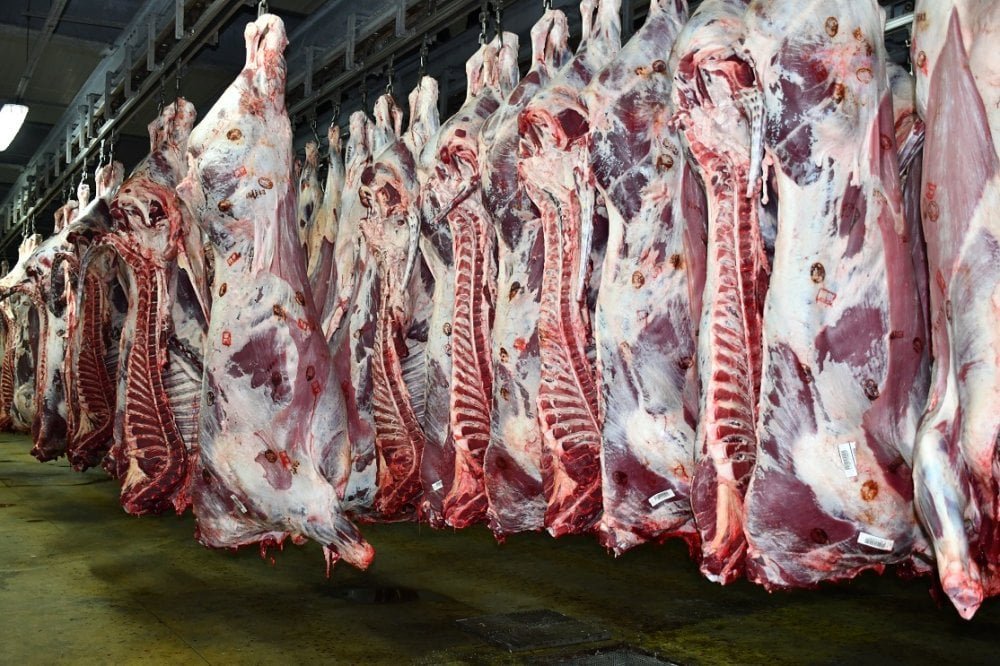 Vue d'ensemble des étals colorés et variés d'un marché de gros à Casablanca, avec des fruits et légumes frais ainsi que des viandes rouges exposées, illustrant la diversité et les dynamiques des prix.