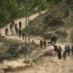 صورة تظهر جانباً من حملة إحاشة الخنزير البري في منطقة أيت زغار بإقليم ورزازات، مع مشاركة القناصين والكلاب المدربة.