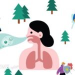 صورة لحبوب اللقاح تسبب حساسية في الأنف