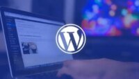 صورة توضيحية لتهديد سيبراني يستهدف إضافات ووردبريس