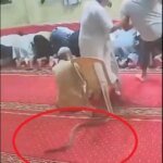 صورة لثعبان ضخم يتحرك داخل مسجد في الهند أثناء أداء المصلين للصلاة