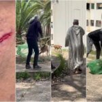 كلب ضال في حي سكني بمدينة تازة