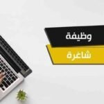 صورة توضيحية لفرص عمل حكومية أو عملية توظيف