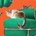 Ikea PS 2026 Easy Chair, a comfortable inflatable armchair with a tubular chrome frame, being tested by a cat.