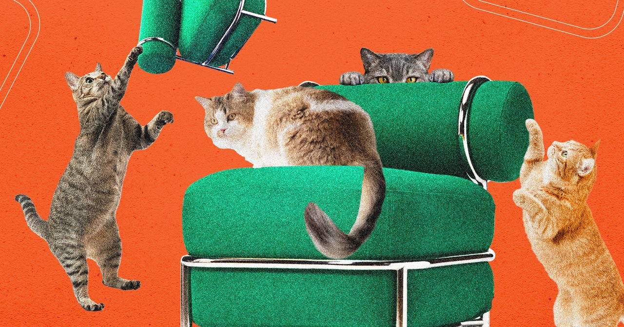 Ikea PS 2026 Easy Chair, a comfortable inflatable armchair with a tubular chrome frame, being tested by a cat.