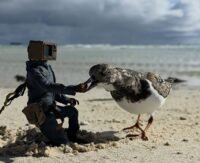 Makers and visitors interacting with innovative projects at Maker Faire Philadelphia 2026 on Cherry Street Pier.