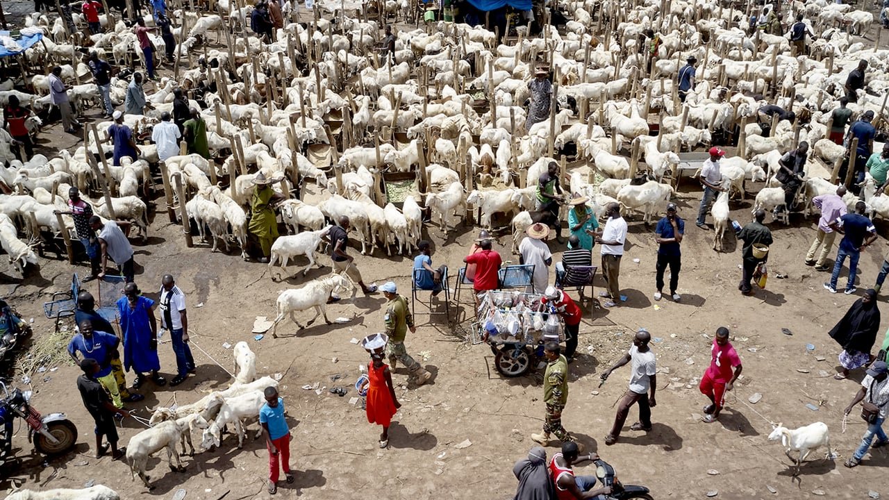 Marché aux bestiaux animé à Bamako, la veille de l'Aïd al-Adha, avec de nombreux animaux et commerçants.